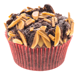 Blueberry Morning Muffin